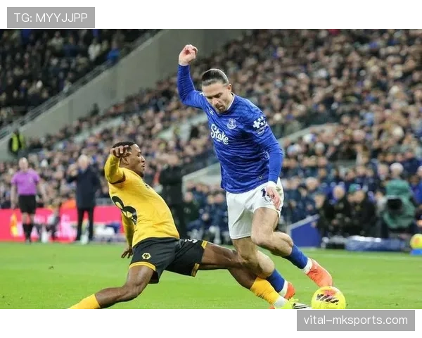 埃弗顿新援加盟助力球队复苏,竞争力显著提升引关注 埃弗顿新援加盟助力球队复苏,竞争力显著提升引关注