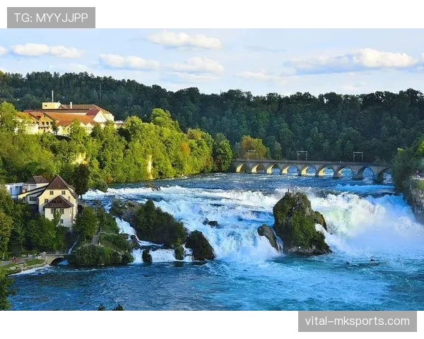 奥地利与德国深化合作共迎挑战把握新机遇 奥地利与德国深化合作共迎挑战把握新机遇