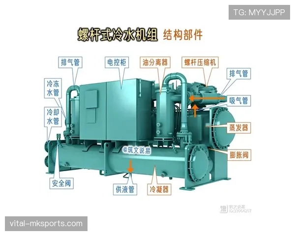 奥斯梅恩稳定性问题剖析：关键战表现与数据波动结构差异